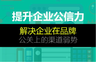 蜂鳥搜索營銷系統 上?；ヂ摼W推廣外包公司的卓越信息技術咨詢服務解決方案